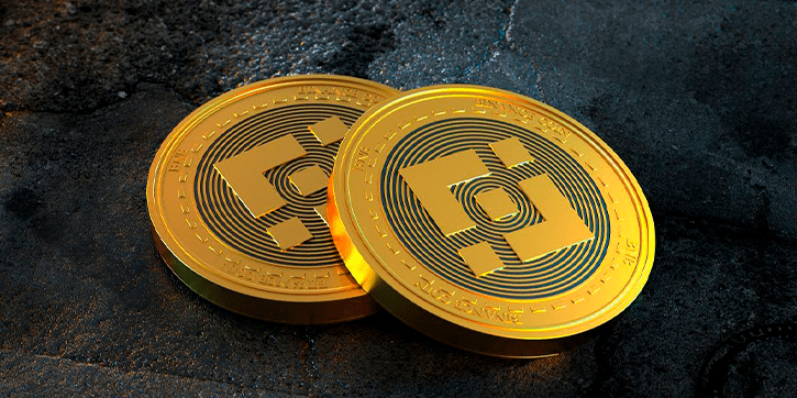 Binance Coin (BNB)
